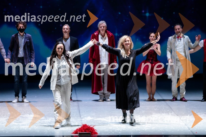 Nanine pesmi, glasbeno-plesna predstava