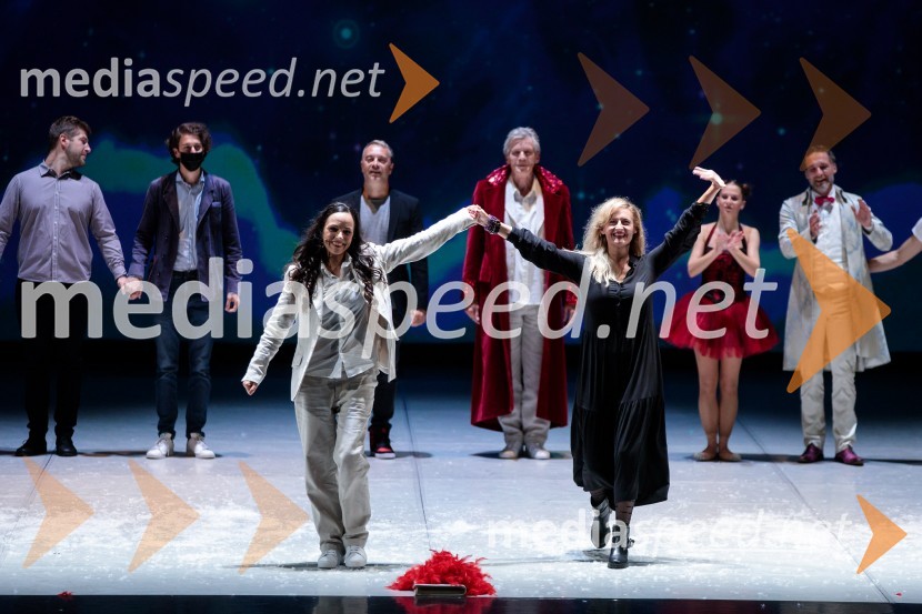 Nanine pesmi, glasbeno-plesna predstava