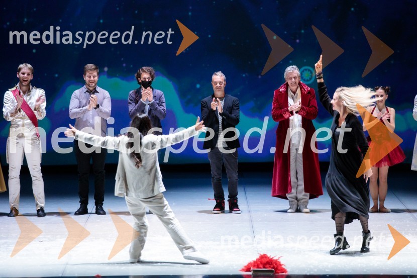 Nanine pesmi, glasbeno-plesna predstava