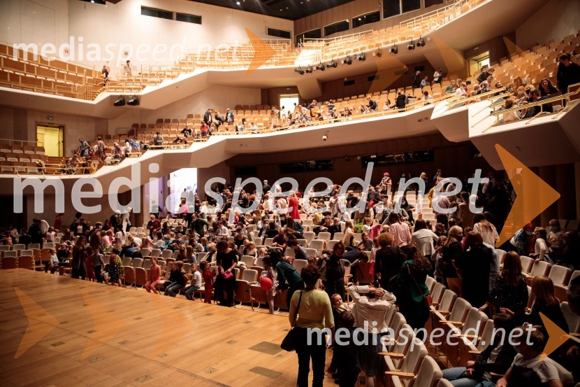 Nanine pesmi, glasbeno-plesna predstava