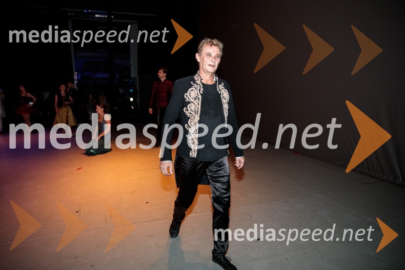 Nanine pesmi, glasbeno-plesna predstava