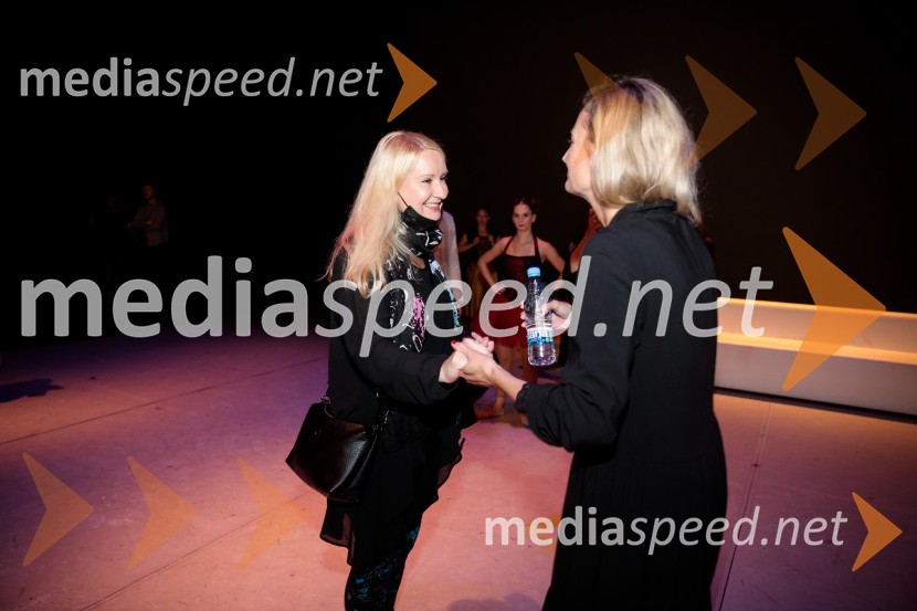 Nanine pesmi, glasbeno-plesna predstava