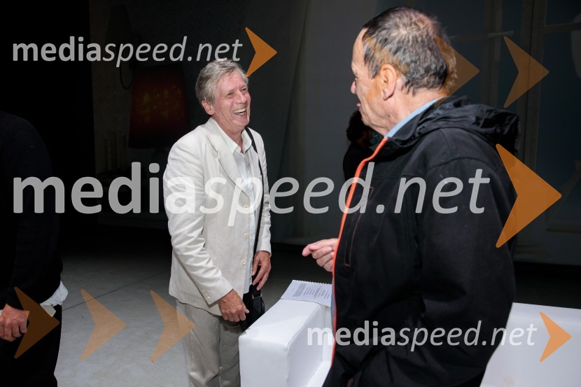  Bojan Maroševič, igralecNanine pesmi, glasbeno-plesna predstava