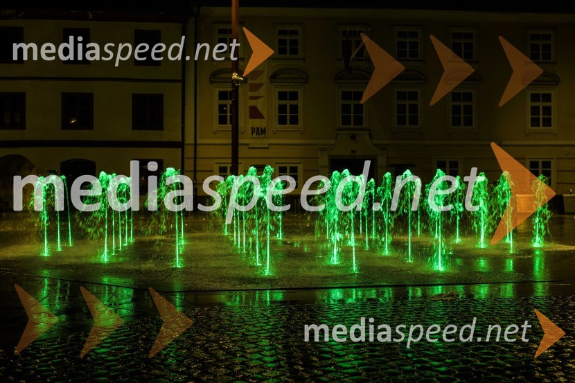 Svetovni dan cerebralne paralize društva Sonček