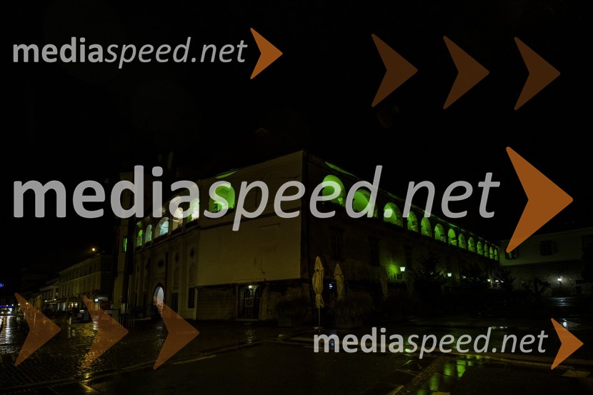 Svetovni dan cerebralne paralize društva Sonček