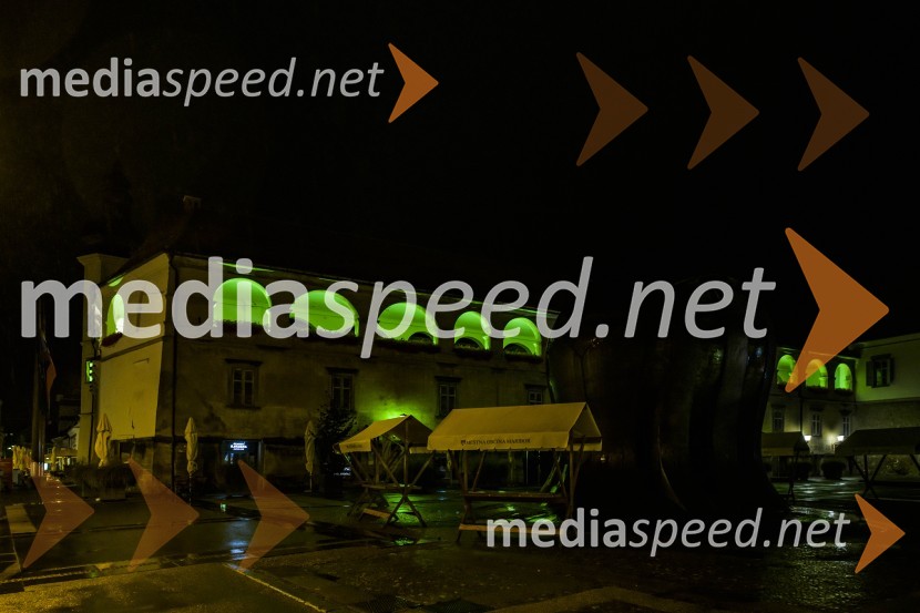 Svetovni dan cerebralne paralize društva Sonček