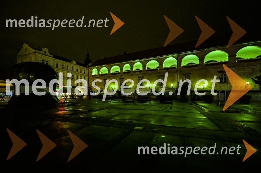 Svetovni dan cerebralne paralize društva Sonček