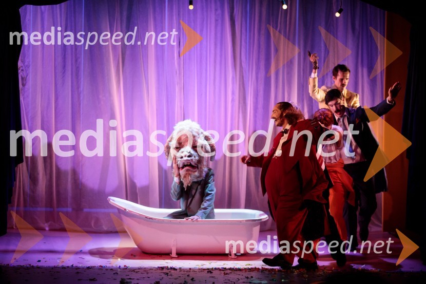  David Čeh, igralecKozlovska sodba v Višnji Gori, premiera otroške predstave Slovenskega ljudskega gledališča Celje