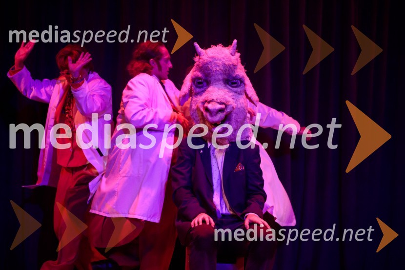  Žan Brelih Hatunić, igralecKozlovska sodba v Višnji Gori, premiera otroške predstave Slovenskega ljudskega gledališča Celje