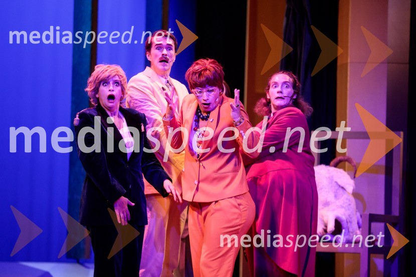  Barbara Medvešček, igralka;  Urban Kuntarič, igralec;  Tanja Potočnik, igralka;  Filip  Mramor, igralecKozlovska sodba v Višnji Gori, premiera otroške predstave Slovenskega ljudskega gledališča Celje