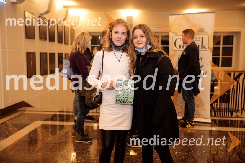 Kozlovska sodba v Višnji Gori, premiera otroške predstave Slovenskega ljudskega gledališča Celje