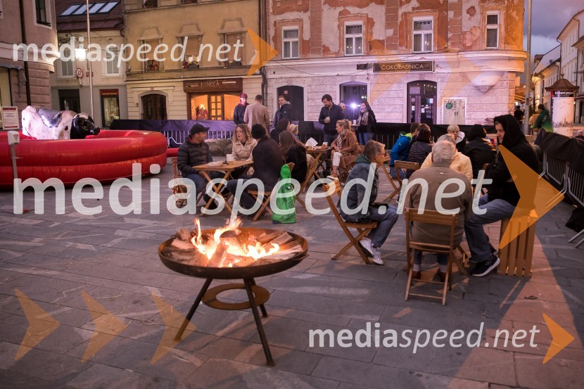 Dan kranjske klobase in piva