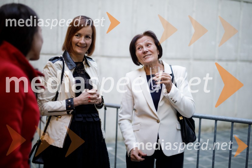  Mojca Kuzmič;  Gordana  Glamočanin Brexit v nepolitičnem zrcalu, dokumentarni film