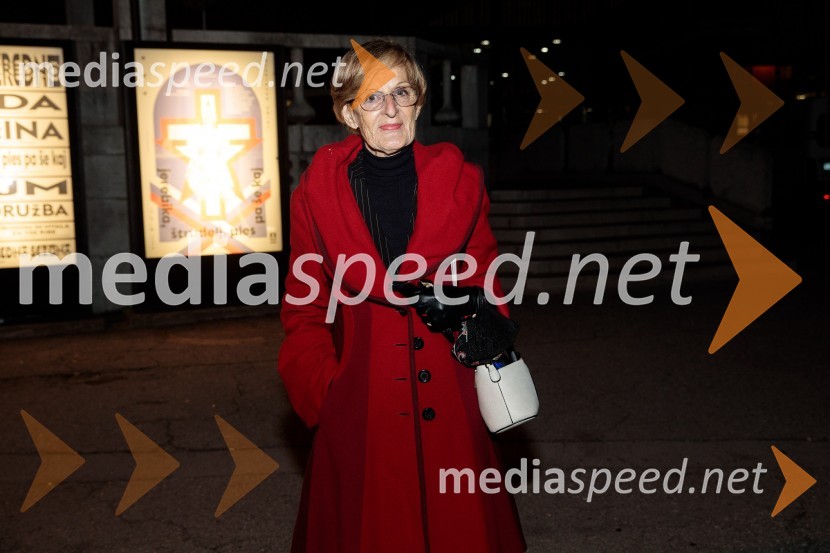 Jerebika, štrudelj, ples pa še kaj, premiera, Slovensko mladinsko gledališče