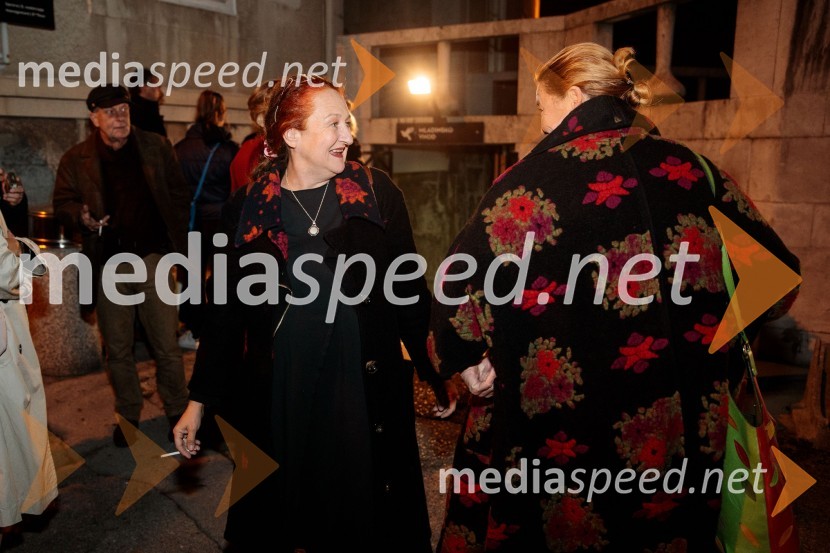 Jerebika, štrudelj, ples pa še kaj, premiera, Slovensko mladinsko gledališče