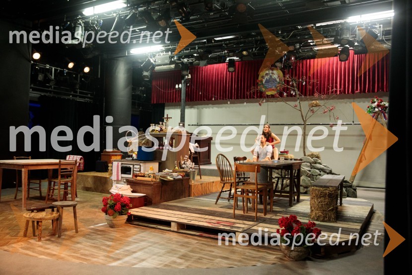 Jerebika, štrudelj, ples pa še kaj, premiera, Slovensko mladinsko gledališče