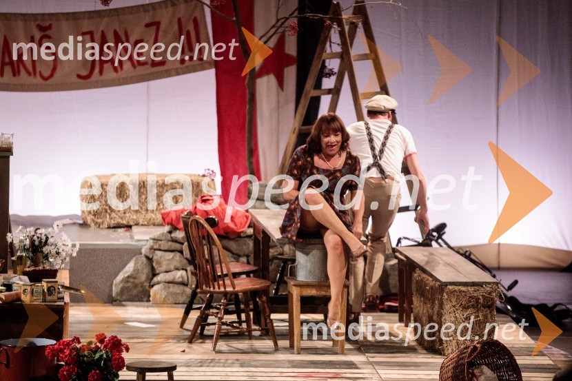  Damjana Černe, igralkaJerebika, štrudelj, ples pa še kaj, premiera, Slovensko mladinsko gledališče