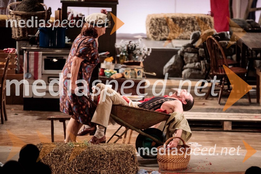  Damjana Černe, igralka;  Primož Bezjak, igralecJerebika, štrudelj, ples pa še kaj, premiera, Slovensko mladinsko gledališče