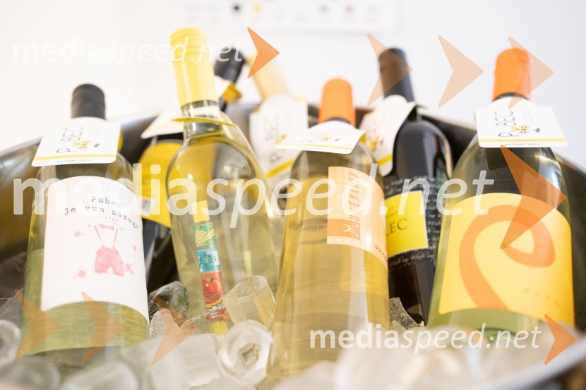 Pubec 2021, novinarska konferenca