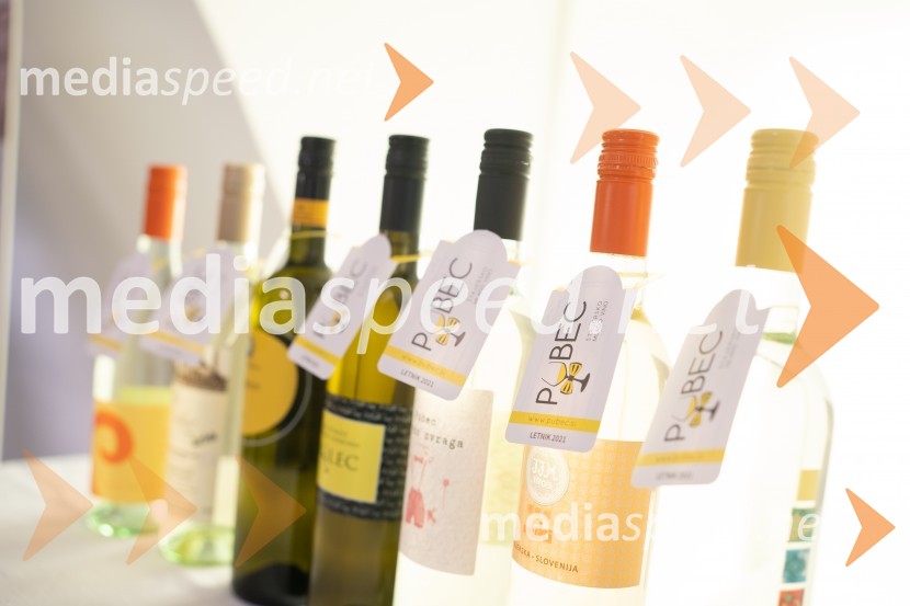 Pubec 2021, novinarska konferenca