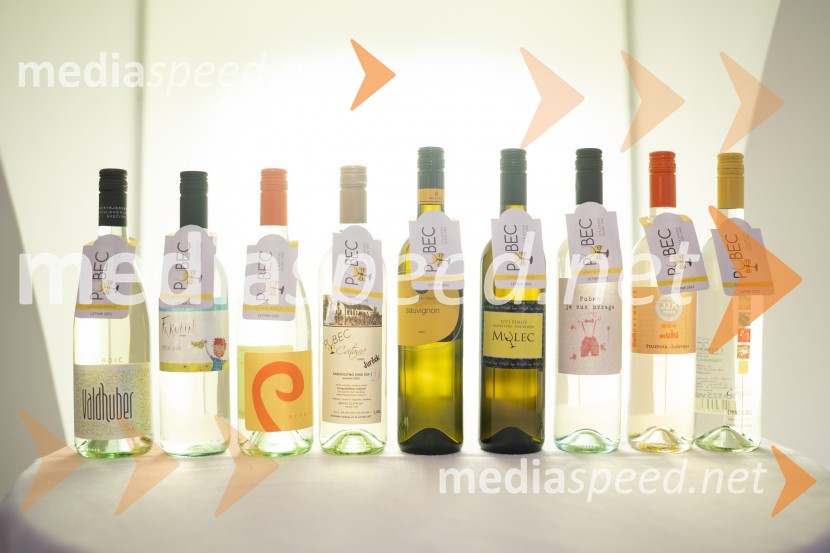 Pubec 2021, novinarska konferenca