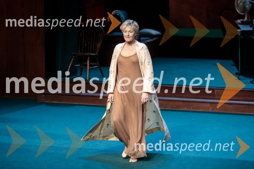  Judita Zidar, igralkaAvgust v okrožju Osage, premiera drame