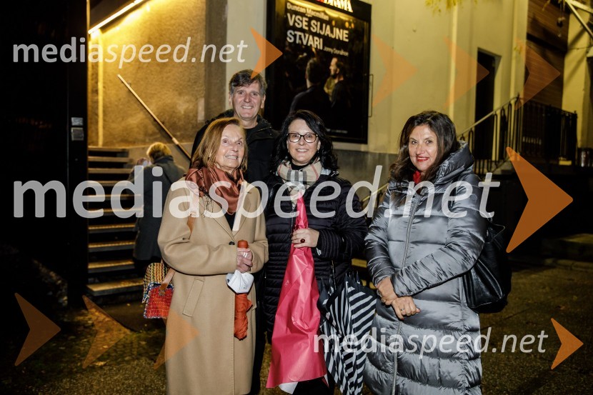 Vse sijajne stvari, premiera monodrame