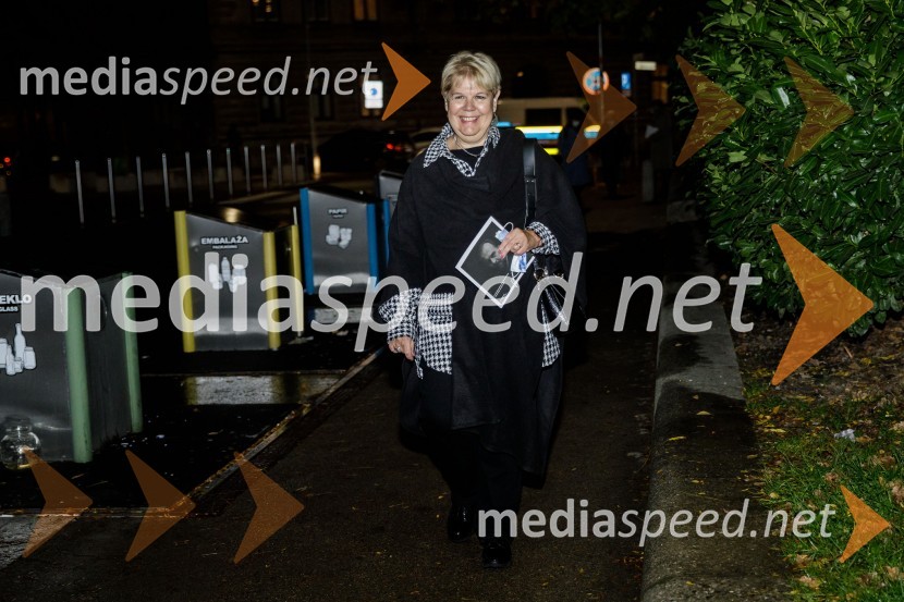  Irena  Butoln, germanistkaVse sijajne stvari, premiera monodrame