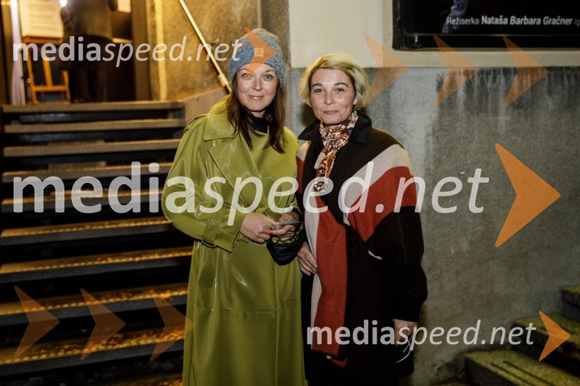 Vse sijajne stvari, premiera monodrame