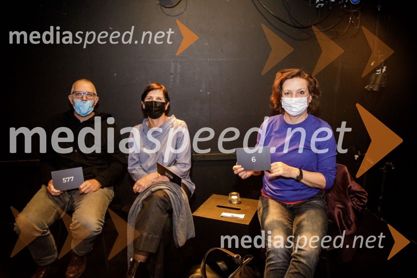 Vse sijajne stvari, premiera monodrame