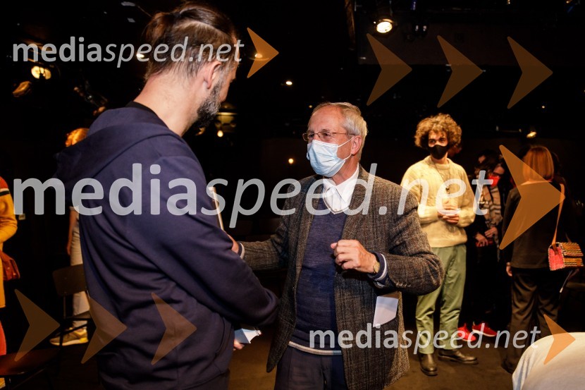 Vse sijajne stvari, premiera monodrame