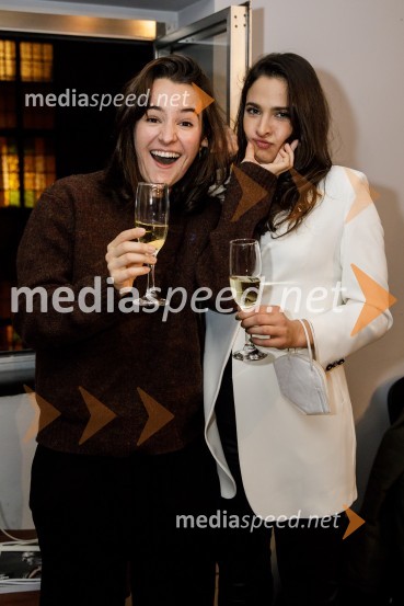  Gaja Filač, igralka;  Saša Pavlin Stošić, igralkaVse sijajne stvari, premiera monodrame