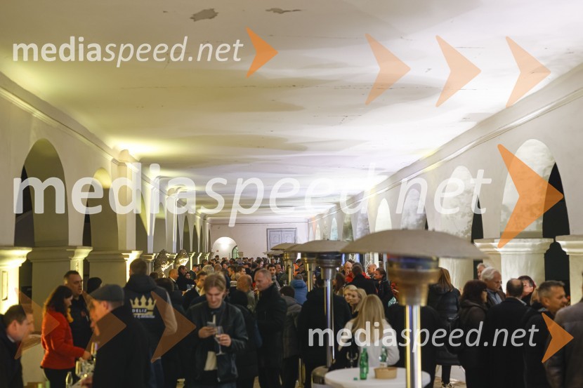 6. Salon štajerskih mladih vin Pubec 2021