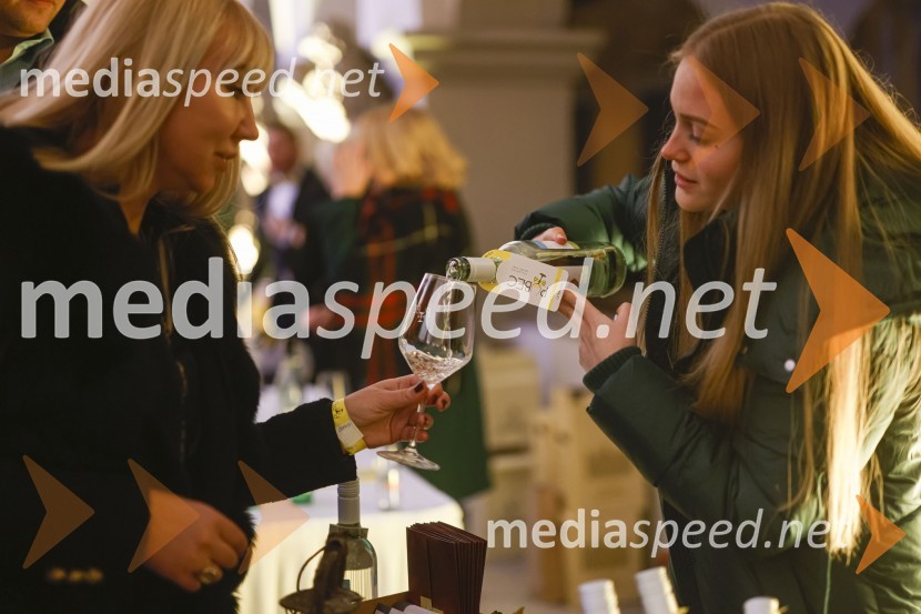  Davida Hafner, Vinarstvo Hafner6. Salon štajerskih mladih vin Pubec 2021