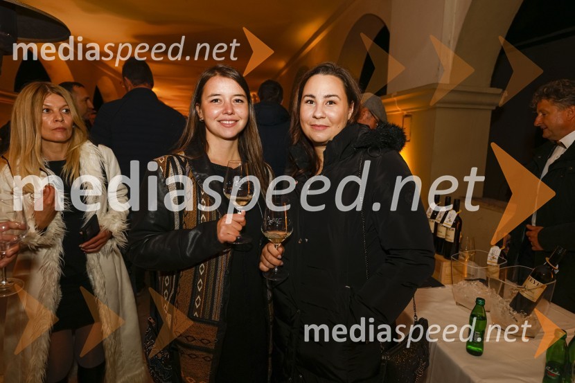 6. Salon štajerskih mladih vin Pubec 2021