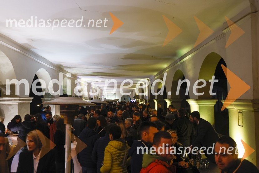 6. Salon štajerskih mladih vin Pubec 2021