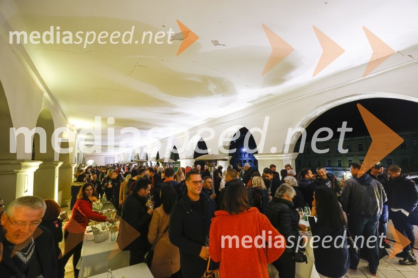 6. Salon štajerskih mladih vin Pubec 2021