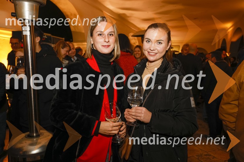 6. Salon štajerskih mladih vin Pubec 2021