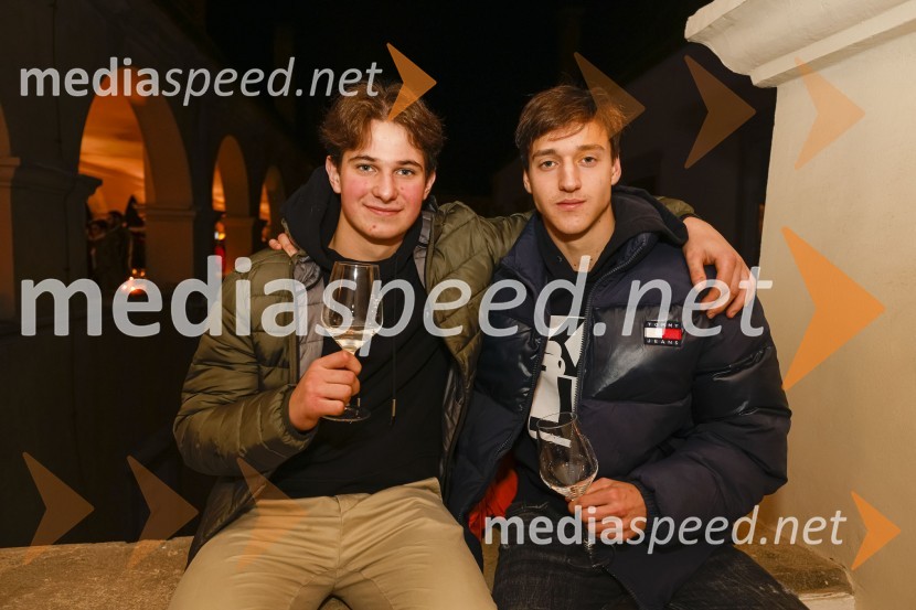 6. Salon štajerskih mladih vin Pubec 2021