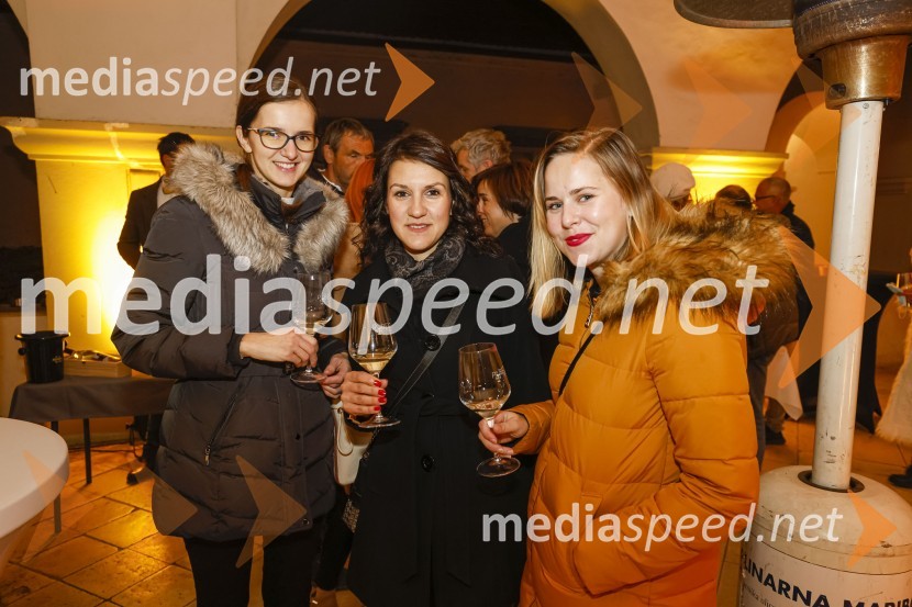  ... ;  Gabrijela Bauman, Frizerski studio Diamant6. Salon štajerskih mladih vin Pubec 2021