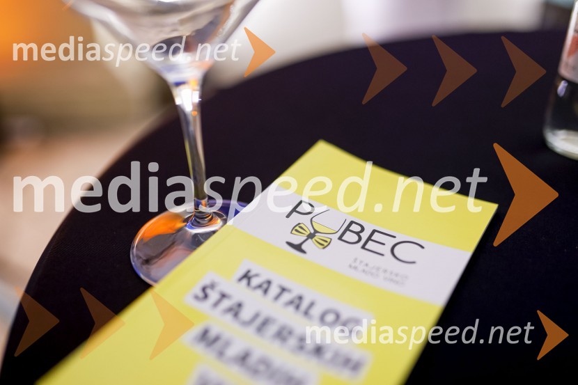 6. Salon štajerskih mladih vin Pubec 2021