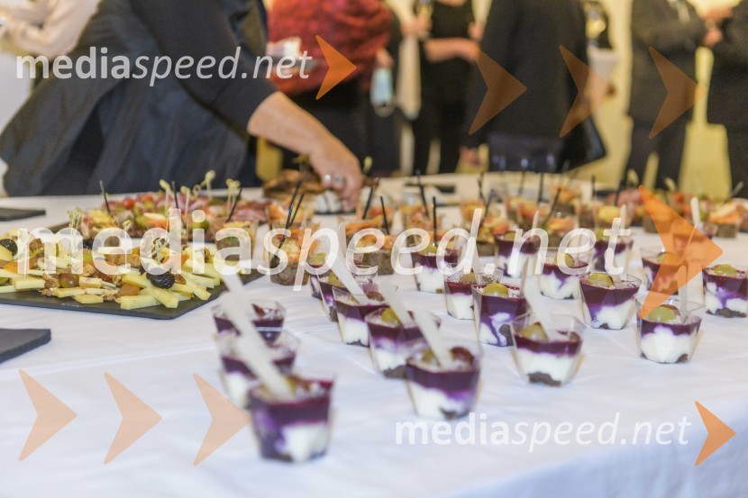 Dobrodelna prireditev Lions kluba Maribor