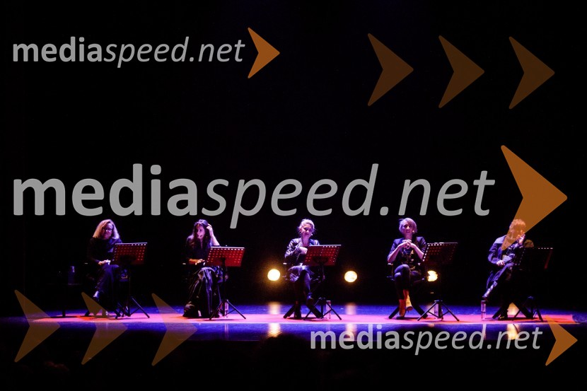  Nataša Barbara Gračner, igralka;  Saša  Pavlin Stošič, igralka;  Vesna Pernarčič, igralka;  Mojca Funkl, igralka;  Desa Muck, voditeljica, pisateljica, dobitnica nagrade Frana Milčinskega – Ježka 2016Ženska, 50. premiera Špas teatra