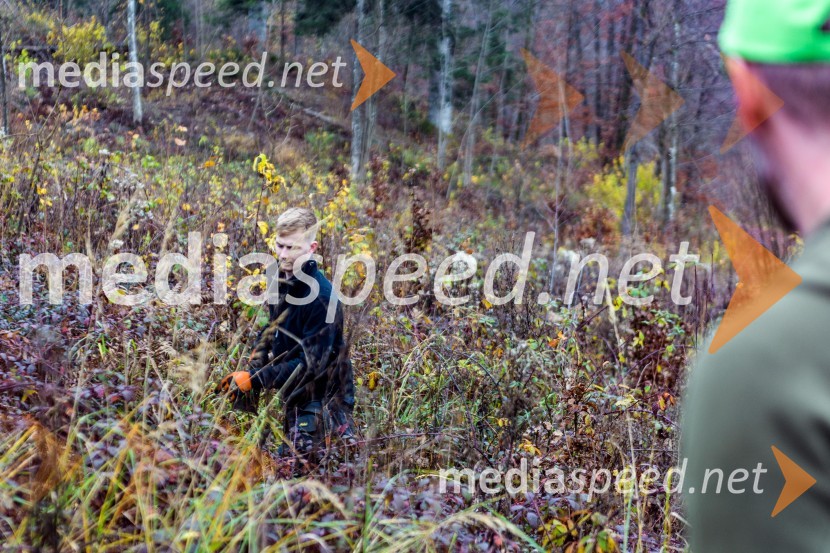 Začelo se je pogozdovanje, ki bo ozelenilo Slovenijo