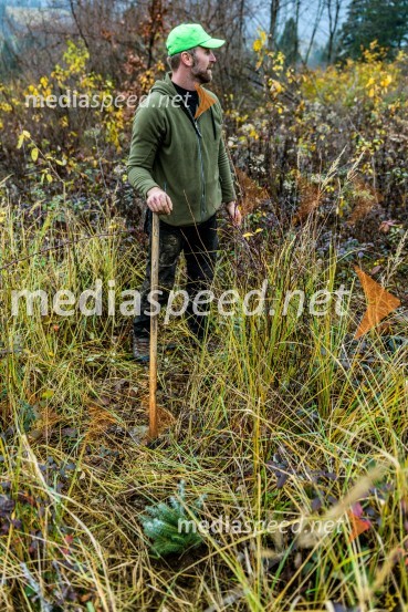 Začelo se je pogozdovanje, ki bo ozelenilo Slovenijo