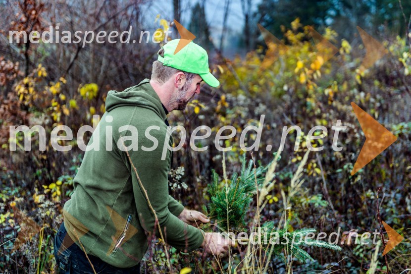 Začelo se je pogozdovanje, ki bo ozelenilo Slovenijo