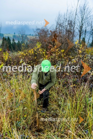 Začelo se je pogozdovanje, ki bo ozelenilo Slovenijo