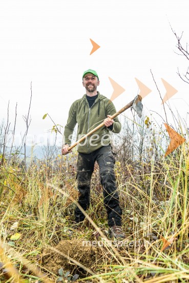 Začelo se je pogozdovanje, ki bo ozelenilo Slovenijo
