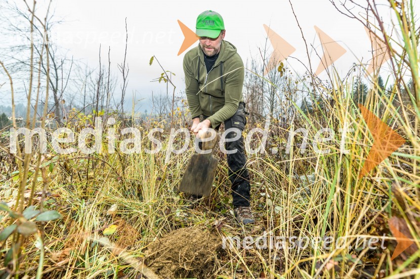 Začelo se je pogozdovanje, ki bo ozelenilo Slovenijo