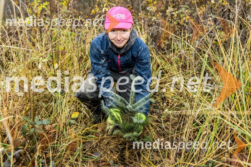 Začelo se je pogozdovanje, ki bo ozelenilo Slovenijo